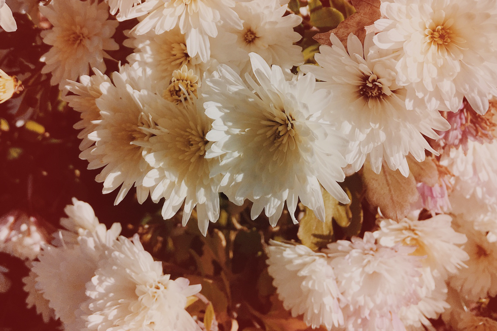 Hochzeitsblumen