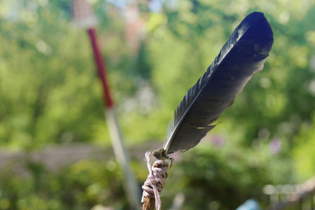 Federn im Wind