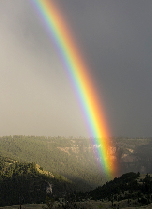 Regenbogen